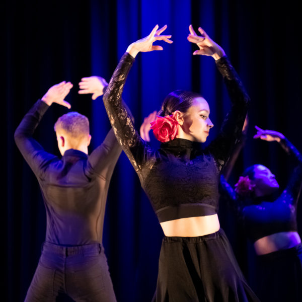 Flamenco and More Photography